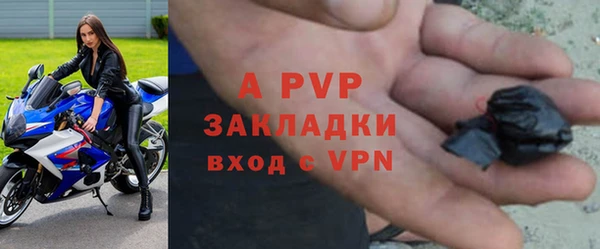спайс Гусев