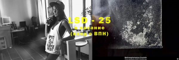 спайс Гусев