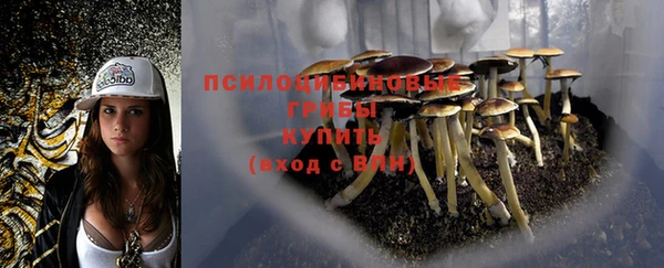 спайс Гусев